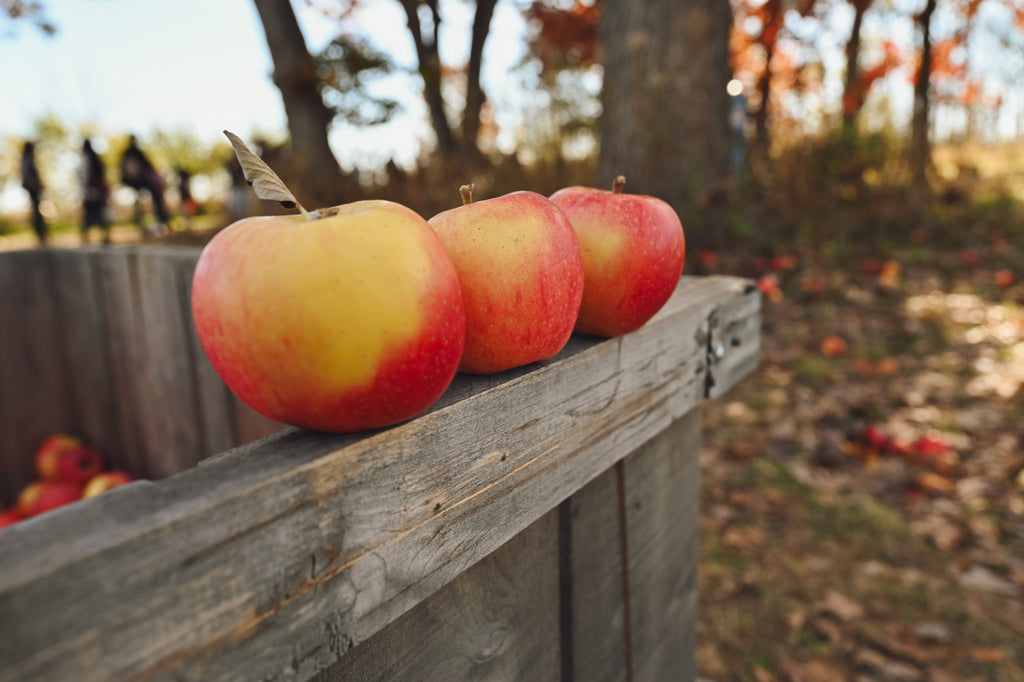 Apple Pie Fundraiser